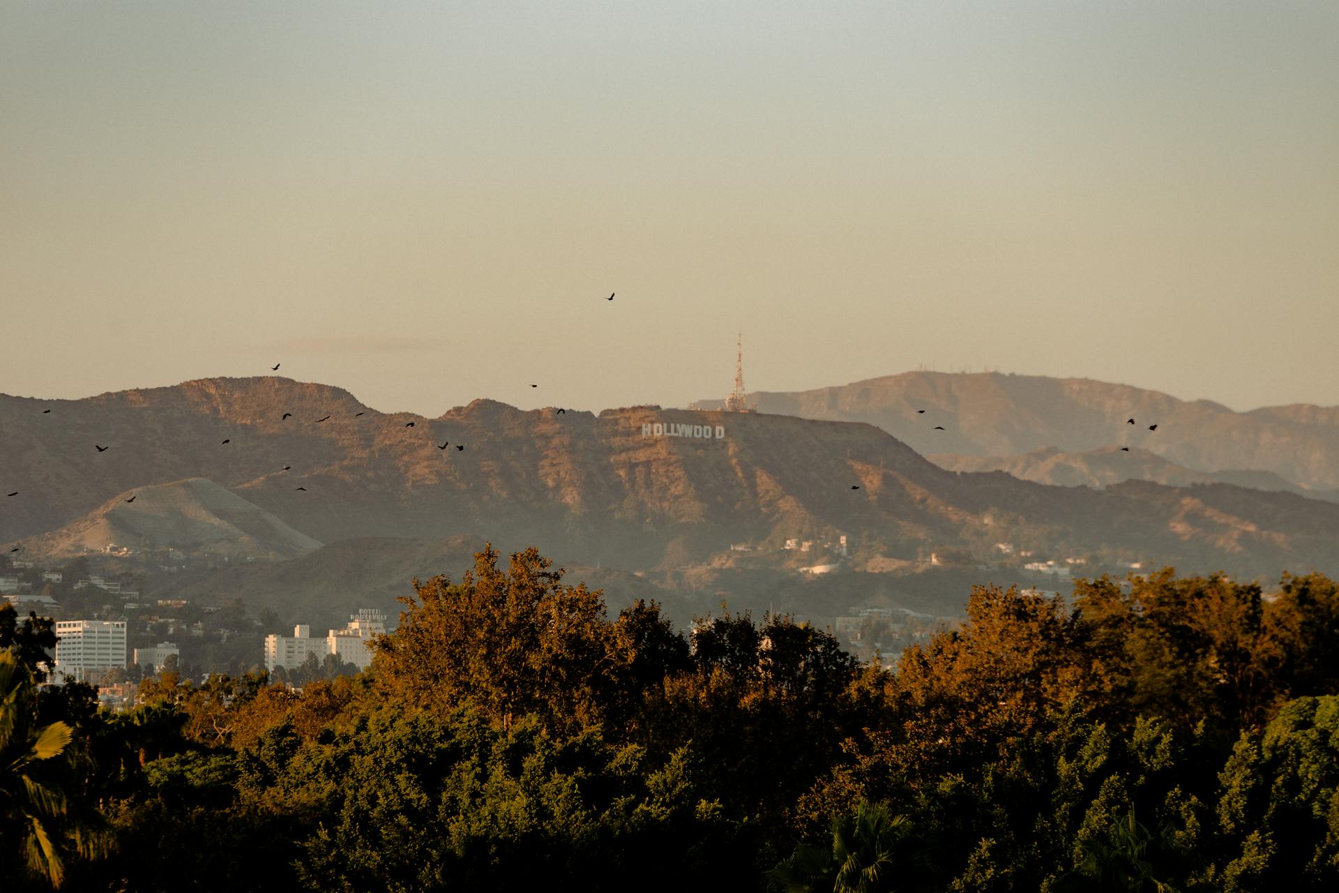 Hollywood Sign In California